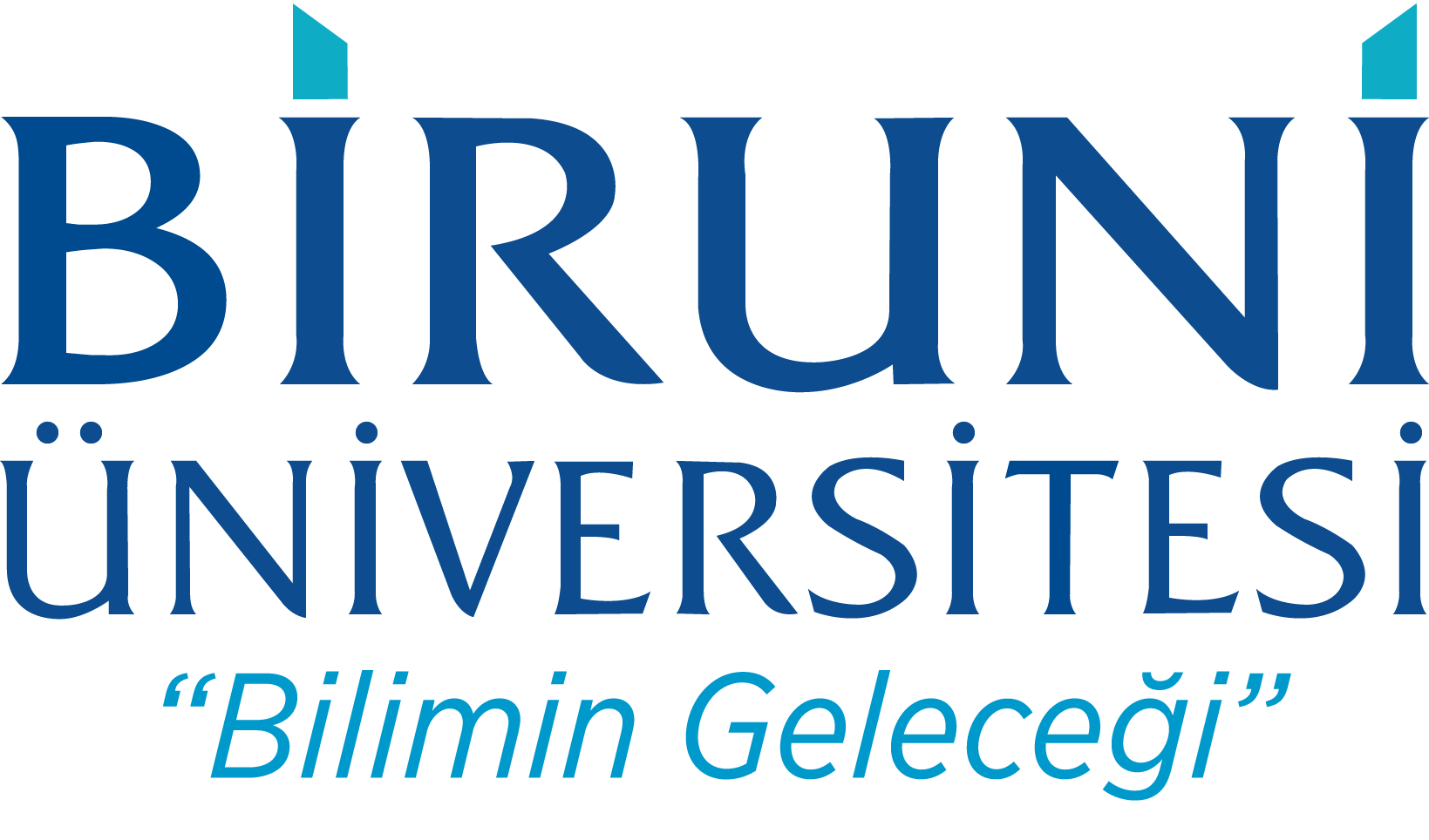 Biruni Üniversitesi